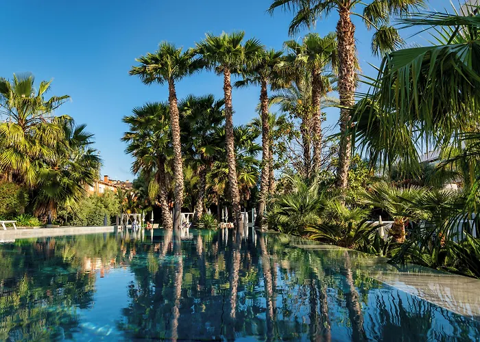 Animaux admis Aqua Silhouette & Spa - Adults Only