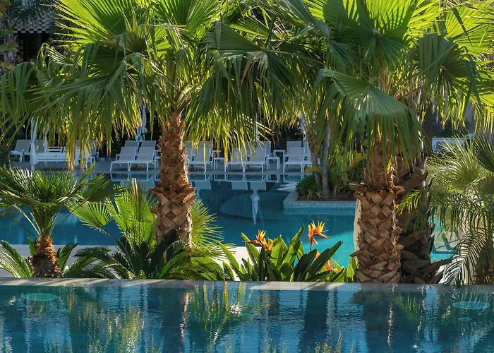 Animaux admis Aqua Silhouette & Spa - Adults Only